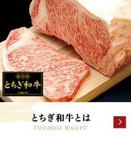 tochigi wagyu